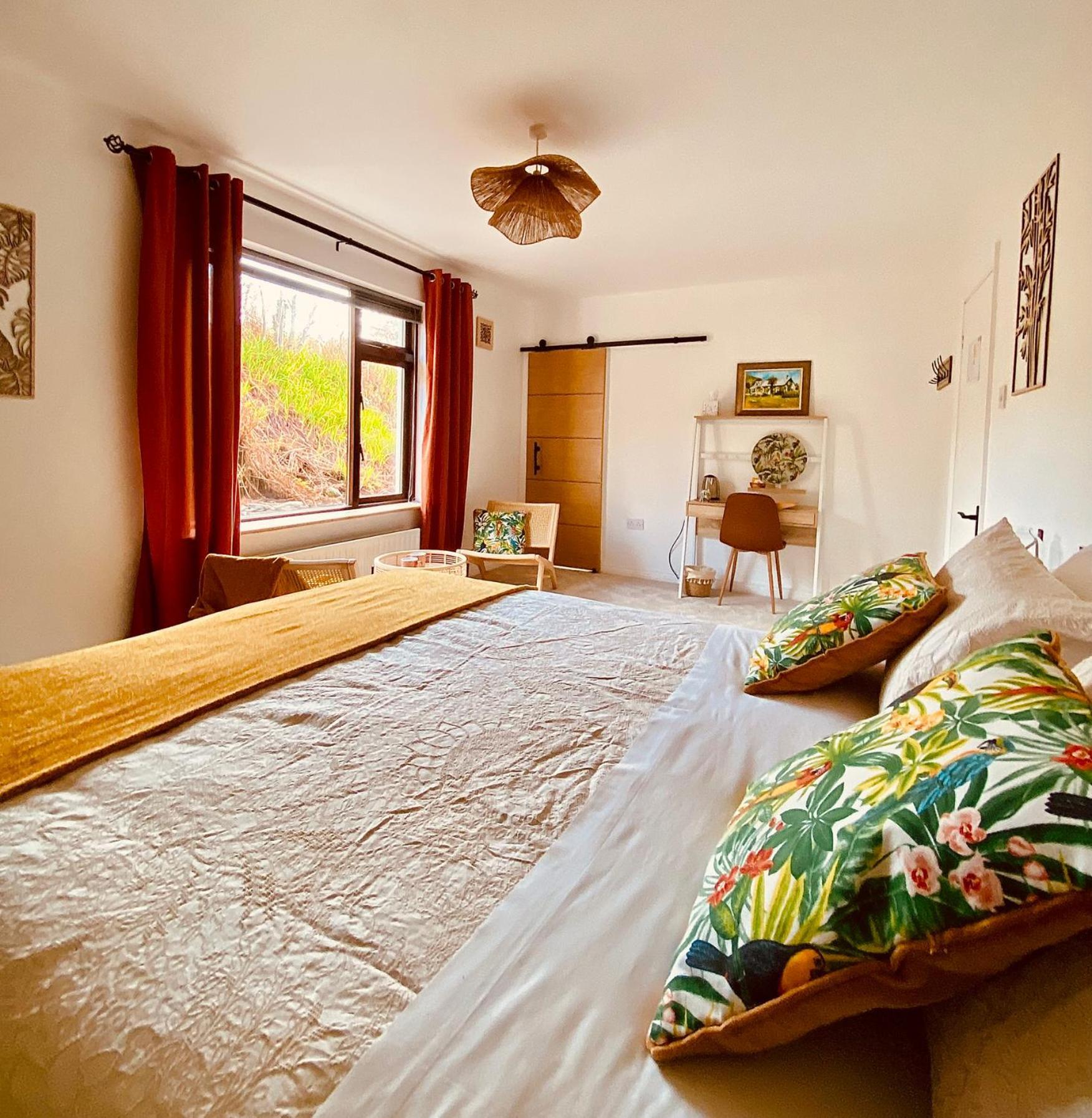 Derrynane Bay House Bed & Breakfast Caherdaniel Ngoại thất bức ảnh